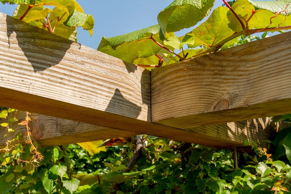 Hoe thermisch gemodificeerd hout behandelen?	